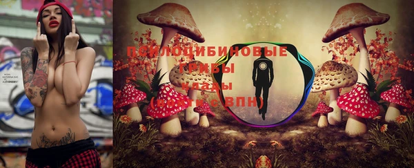 амф Кукмор