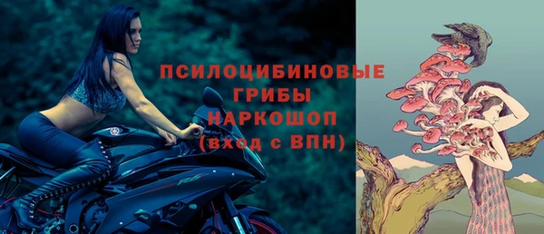 амф Кукмор