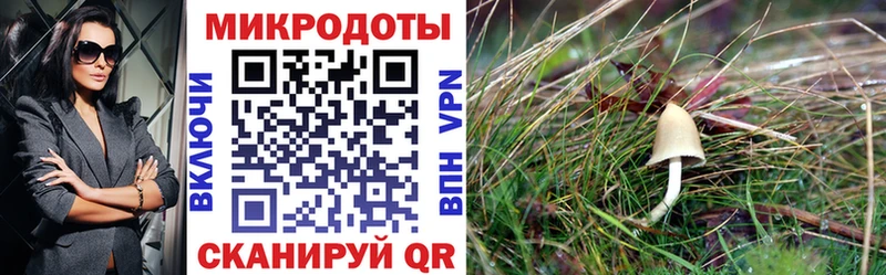 блэк спрут сайт  Миасс  Галлюциногенные грибы мицелий 
